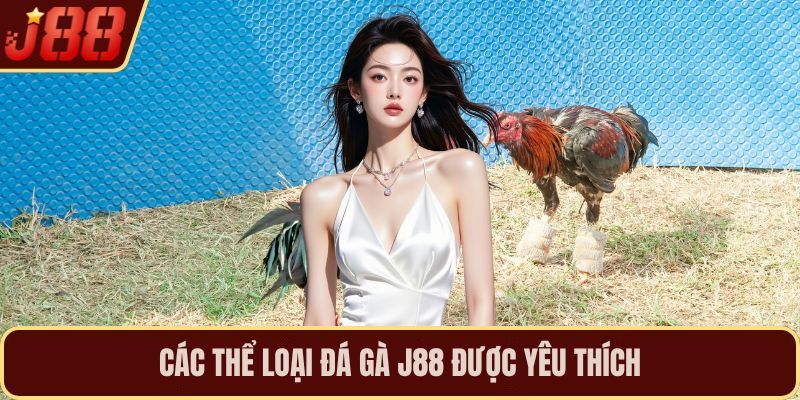 Các thể loại đá gà J88 được yêu thích