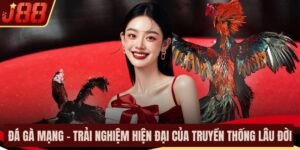 Đá Gà Mạng – Trải Nghiệm Hiện Đại Của Truyền Thống Lâu Đời