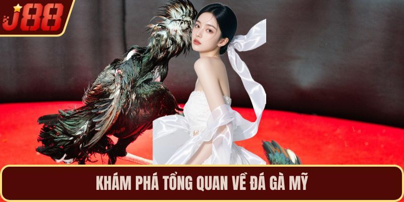 Khám phá tổng quan về đá gà Mỹ