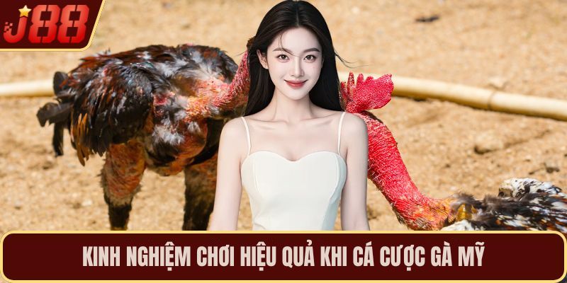 Kinh nghiệm chơi hiệu quả khi cá cược gà mỹ