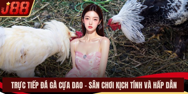Trực Tiếp Đá Gà Cựa Dao – Sân Chơi Kịch Tính Và Hấp Dẫn